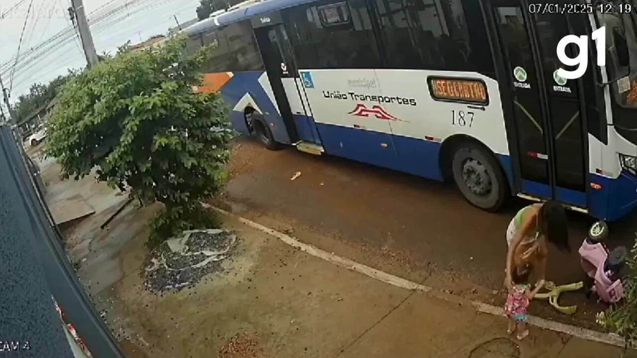 13266285.jpg