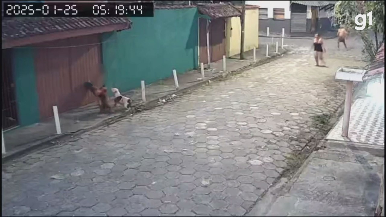 13295327.jpeg