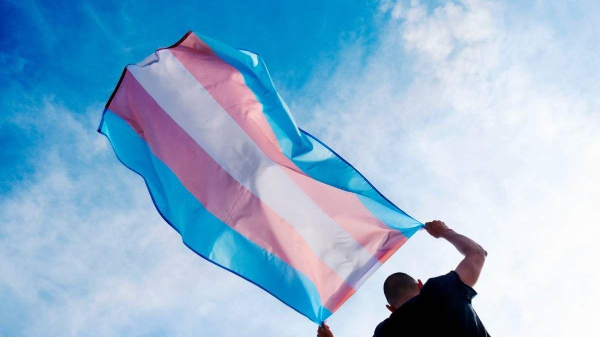 bandeira-trans.jpg