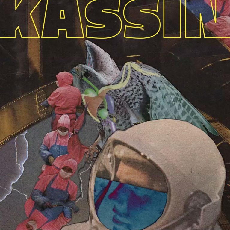 capa-seria-o-donut-logo-kassin.jpg