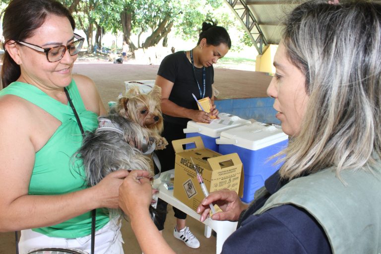 vacinacao-de-caes-e-gatos-11-01-2024-49-.jpg