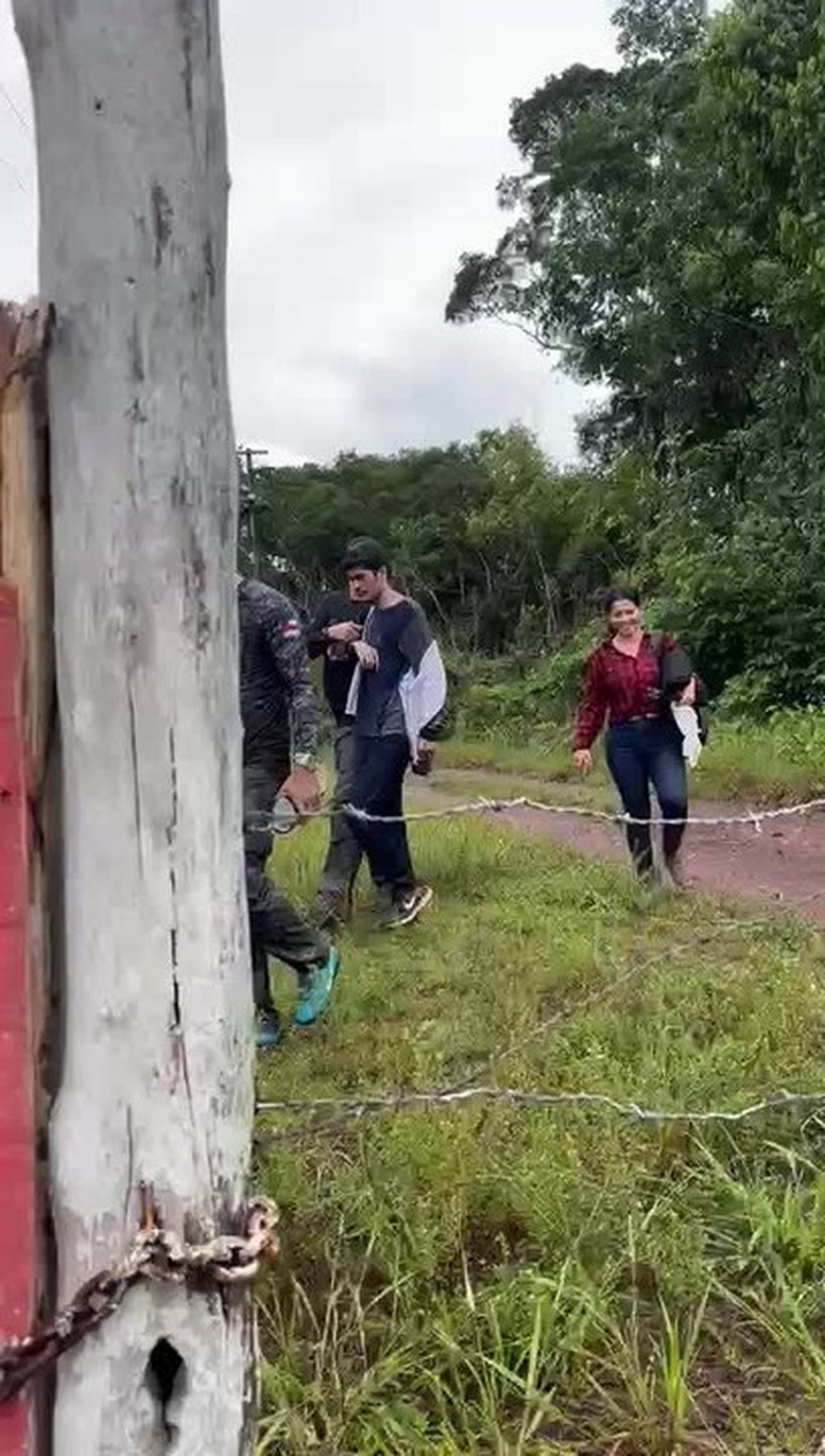 13347543.jpeg