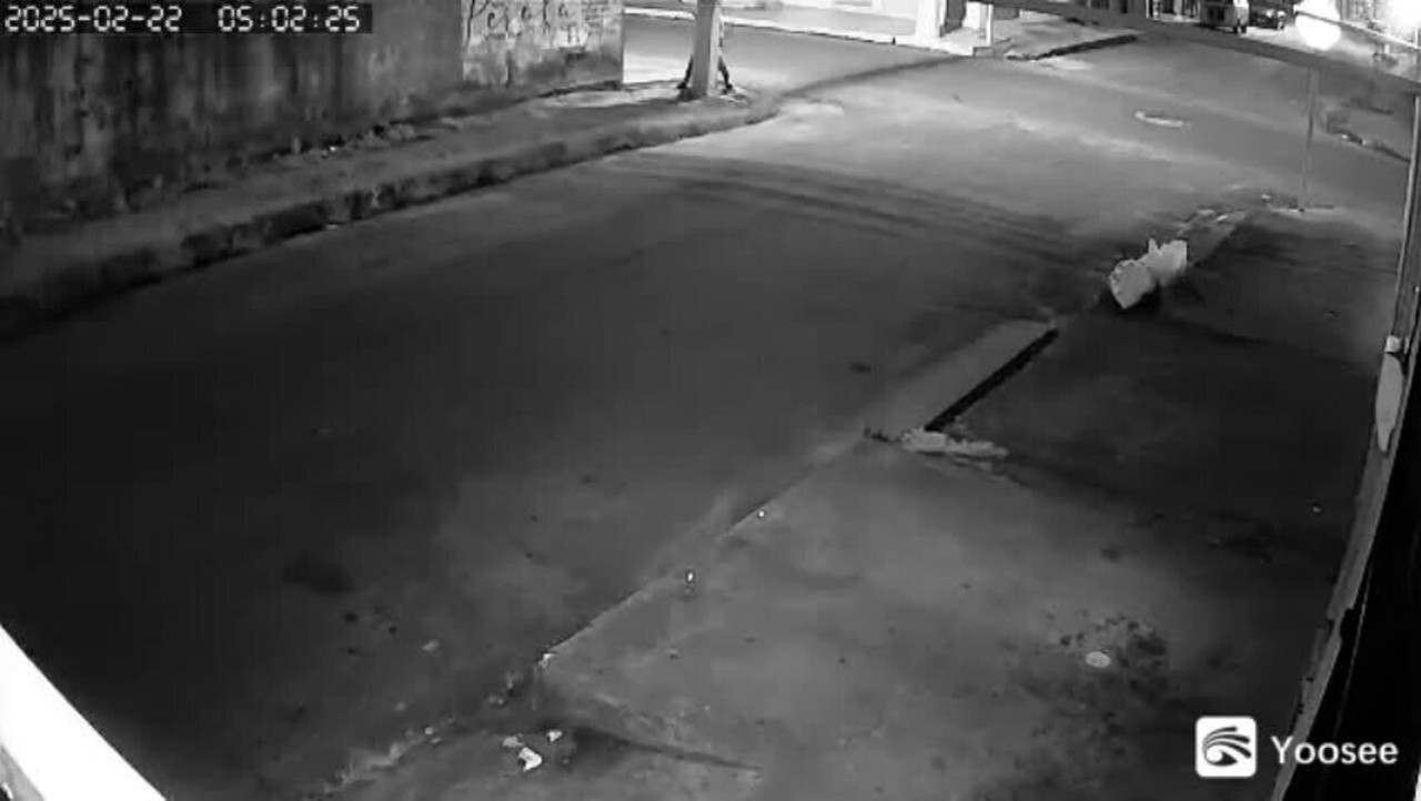 13364300.jpg