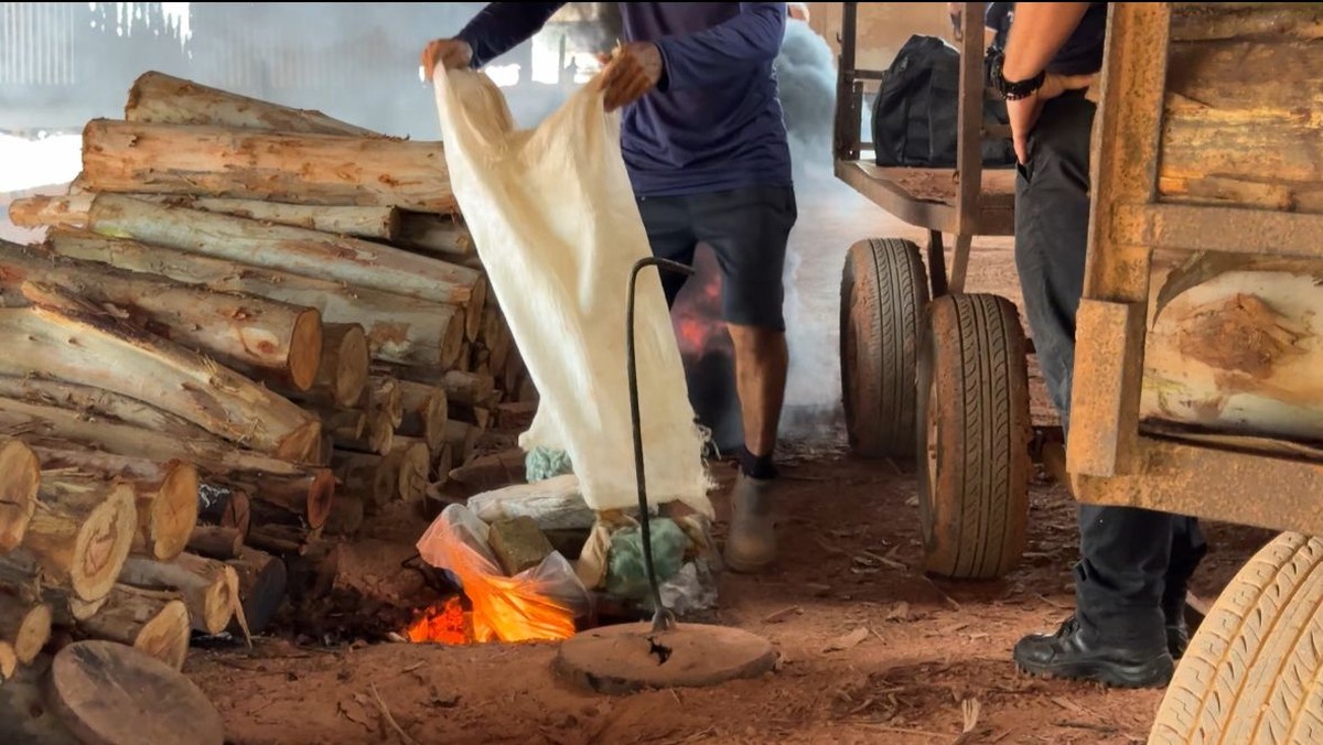 Segurança Pública do Maranhão incinera cerca de uma tonelada de entorpecentes
