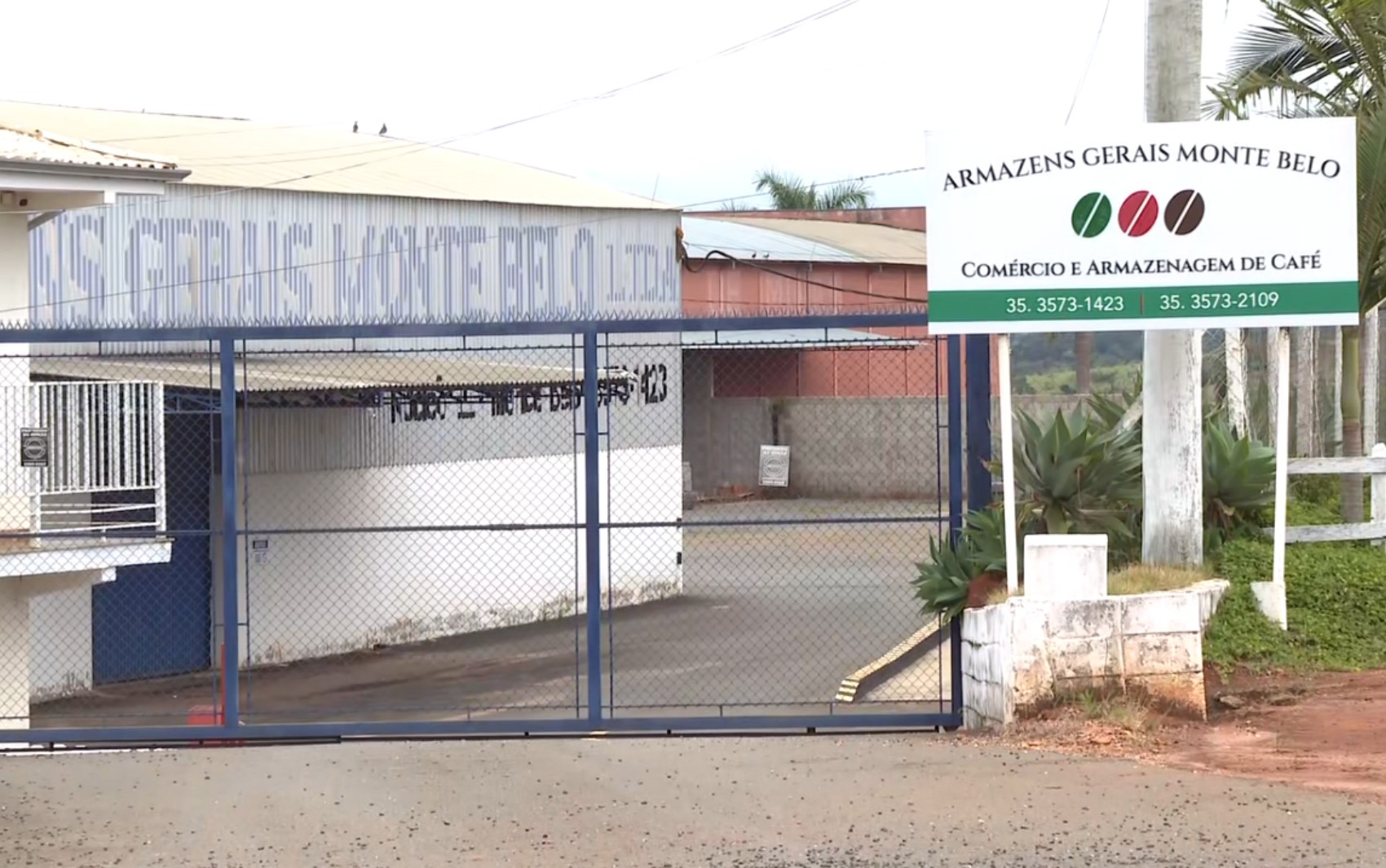 Produtores que venderam café para armazém reclamam de atraso de pagamento das sacas em Monte Belo, MG | Sul de Minas