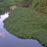 rio-tiete.jpg