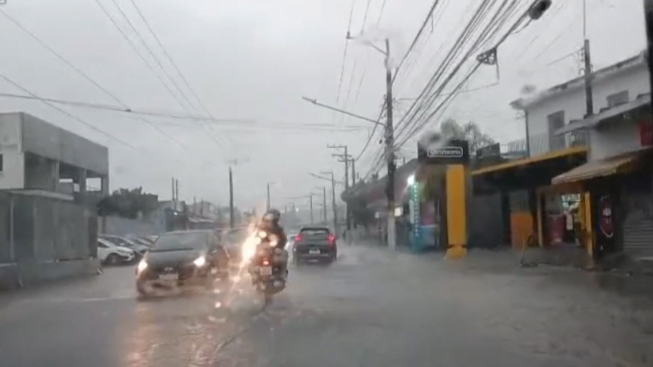 VÍDEO: Árvore cai e ruas ficam alagadas após forte chuva em Mogi das Cruzes | Mogi das Cruzes e Suzano
