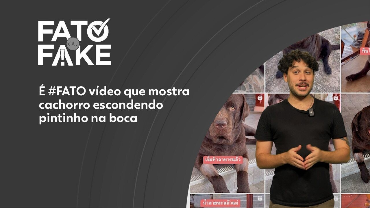 É #FAKE que ‘O GLOBO’ tenha publicado foto de Bruno Henrique com camisa do Santos em notícia sobre apostas | Fato ou Fake