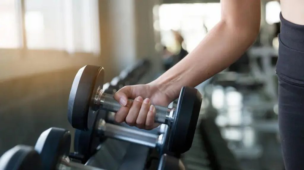 coordenador-da-bioritmo-diz-que-corpo-e-vitrine-do-personal-trainer-mas-que-e-um-erro-se-basear-na-a.jpeg