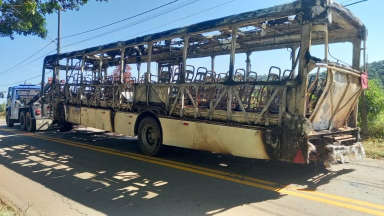onibuslateral.jpg