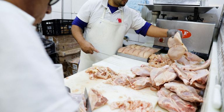 2025-05-20t162224z_105021038_rc2oleavdo6t_rtrmadp_3_health-bird-flu-brazil_0.jpg