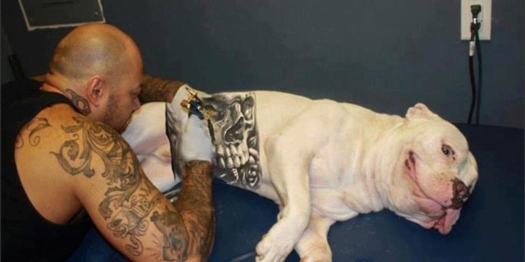 cachorro_tatuado02.jpg